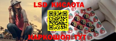 эйфоретик Бердск