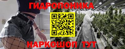 ГАЛЛЮЦИНОГЕННЫЕ ГРИБЫ Брянск