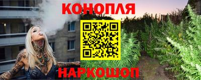 эйфоретик Бердск