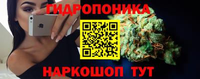 ГАЛЛЮЦИНОГЕННЫЕ ГРИБЫ Брянск