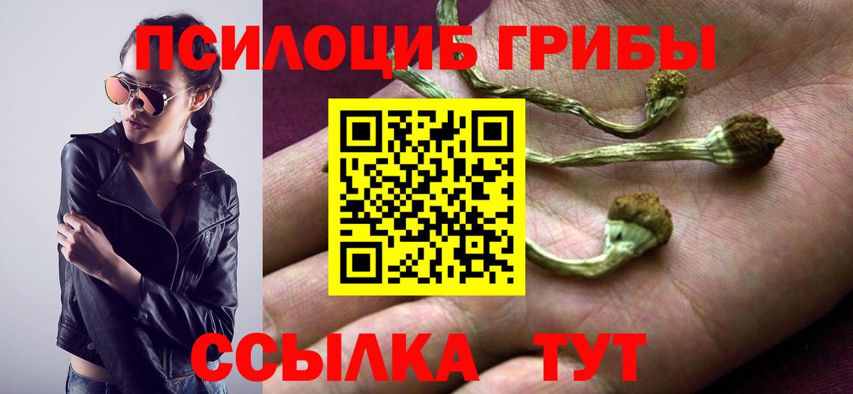 Галлюциногенные грибы прущие грибы Белогорск